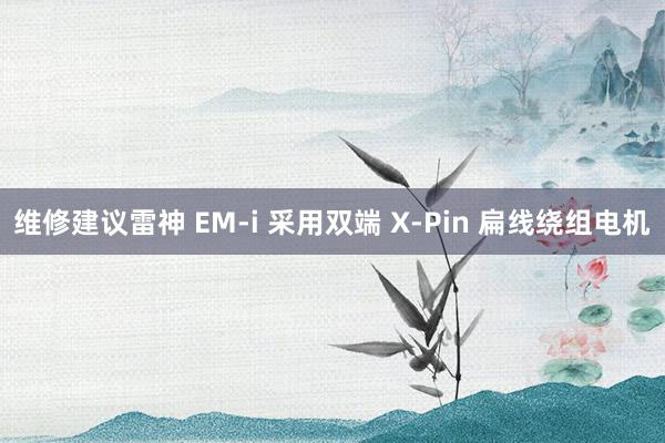 维修建议雷神 EM-i 采用双端 X-Pin 扁线绕组电机