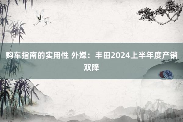 购车指南的实用性 外媒：丰田2024上半年度产销双降