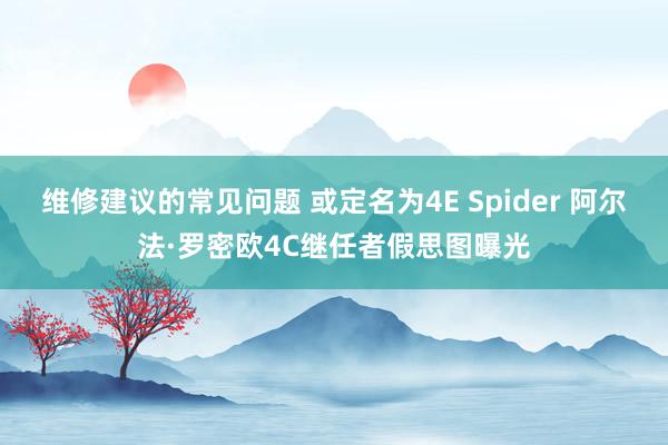 维修建议的常见问题 或定名为4E Spider 阿尔法·罗密欧4C继任者假思图曝光