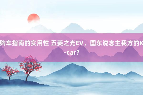 购车指南的实用性 五菱之光EV，国东说念主我方的K-car？