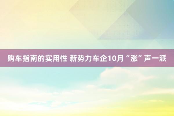 购车指南的实用性 新势力车企10月“涨”声一派