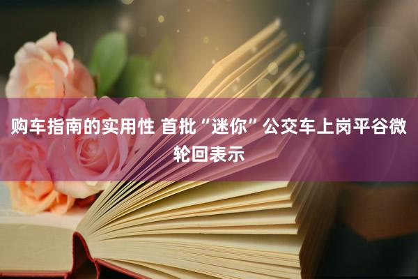 购车指南的实用性 首批“迷你”公交车上岗平谷微轮回表示