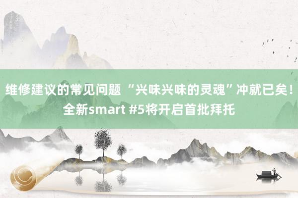 维修建议的常见问题 “兴味兴味的灵魂”冲就已矣！全新smart #5将开启首批拜托