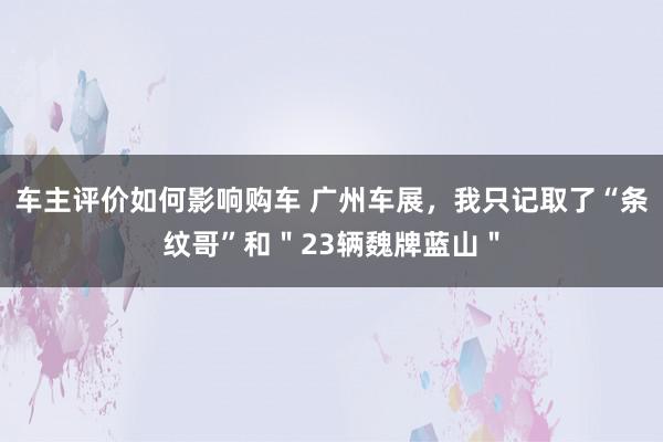 车主评价如何影响购车 广州车展，我只记取了“条纹哥”和＂23辆魏牌蓝山＂