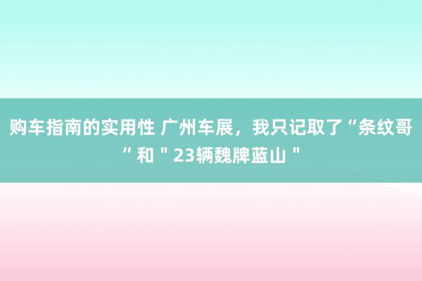 购车指南的实用性 广州车展，我只记取了“条纹哥”和＂23辆魏牌蓝山＂