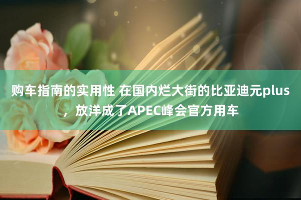 购车指南的实用性 在国内烂大街的比亚迪元plus，放洋成了APEC峰会官方用车