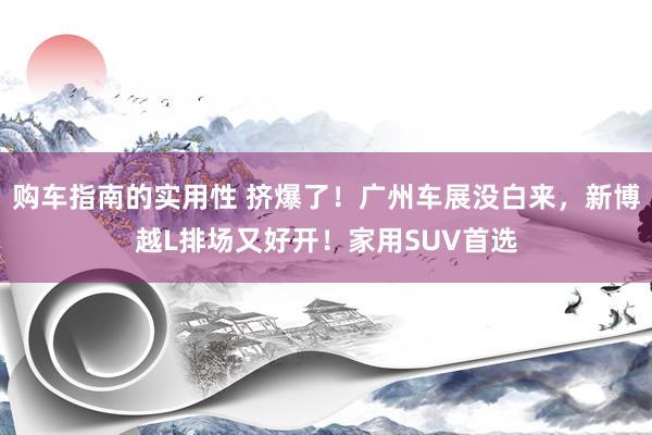 购车指南的实用性 挤爆了！广州车展没白来，新博越L排场又好开！家用SUV首选