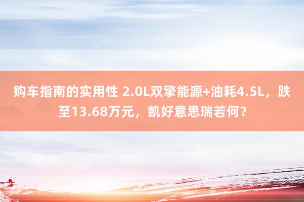 购车指南的实用性 2.0L双擎能源+油耗4.5L，跌至13.68万元，凯好意思瑞若何？