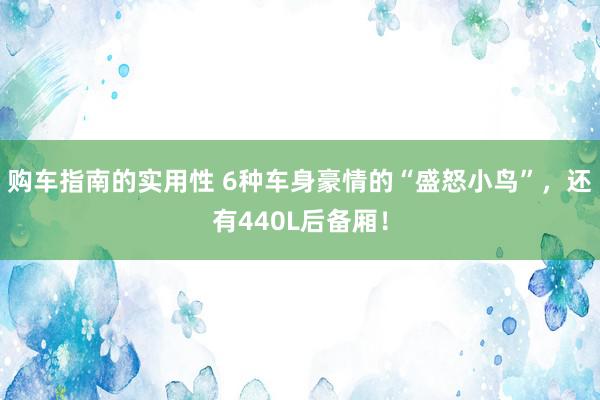 购车指南的实用性 6种车身豪情的“盛怒小鸟”，还有440L后备厢！