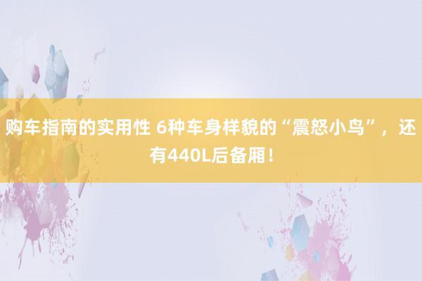 购车指南的实用性 6种车身样貌的“震怒小鸟”，还有440L后备厢！