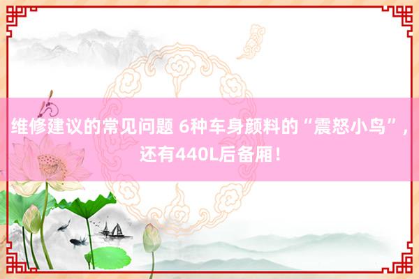 维修建议的常见问题 6种车身颜料的“震怒小鸟”，还有440L后备厢！