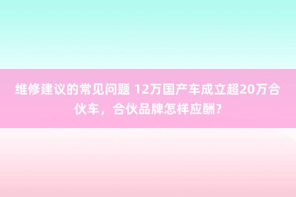 维修建议的常见问题 12万国产车成立超20万合伙车，合伙品牌怎样应酬？