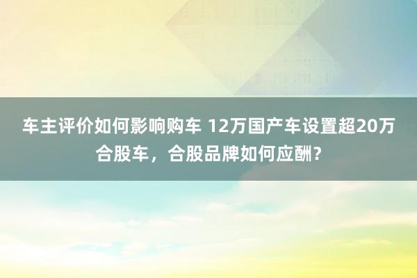 车主评价如何影响购车 12万国产车设置超20万合股车，合股品牌如何应酬？