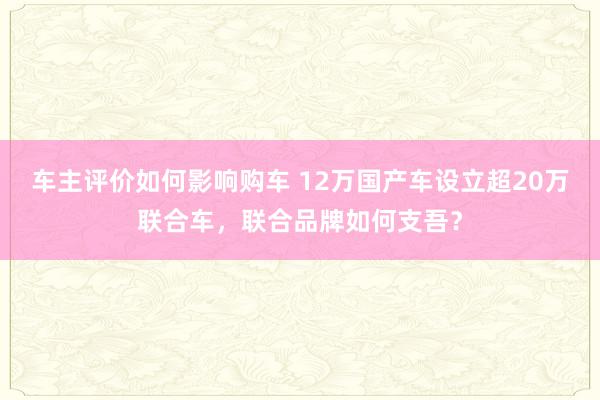 车主评价如何影响购车 12万国产车设立超20万联合车，联合品牌如何支吾？