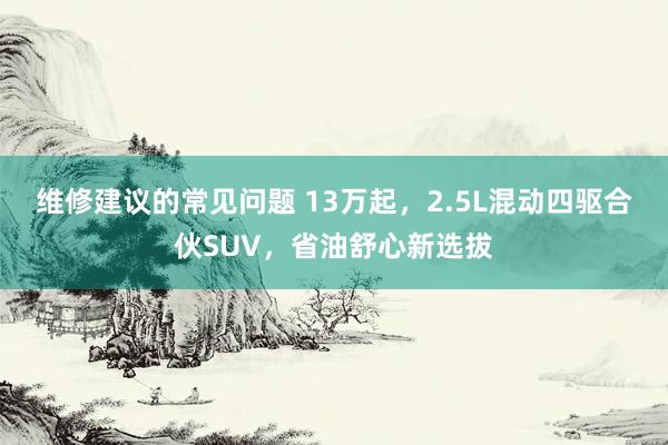 维修建议的常见问题 13万起，2.5L混动四驱合伙SUV，省油舒心新选拔