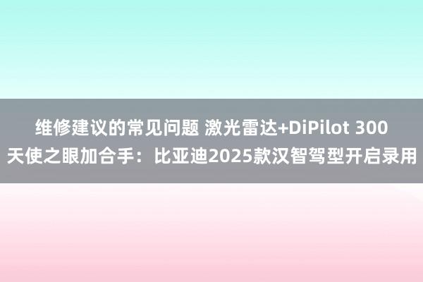 维修建议的常见问题 激光雷达+DiPilot 300天使之眼加合手：比亚迪2025款汉智驾型开启录用