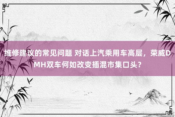 维修建议的常见问题 对话上汽乘用车高层，荣威DMH双车何如改变插混市集口头？