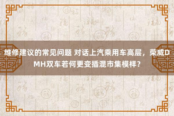 维修建议的常见问题 对话上汽乘用车高层，荣威DMH双车若何更变插混市集模样？