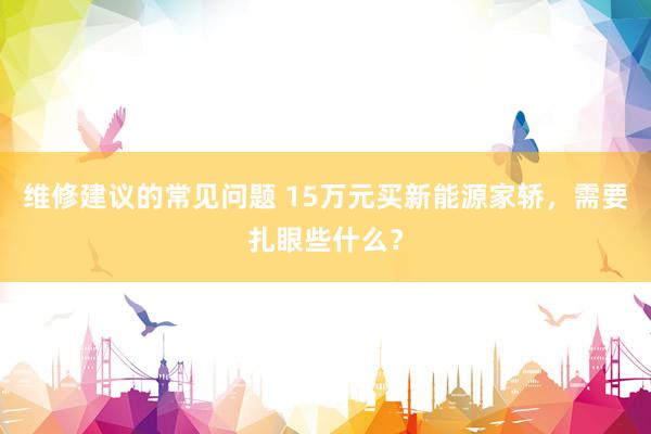 维修建议的常见问题 15万元买新能源家轿，需要扎眼些什么？