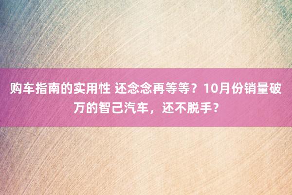 购车指南的实用性 还念念再等等？10月份销量破万的智己汽车，还不脱手？