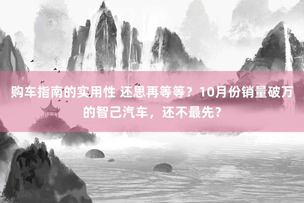 购车指南的实用性 还思再等等？10月份销量破万的智己汽车，还不最先？