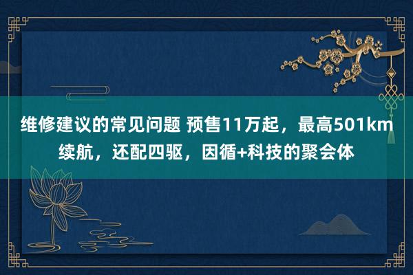 维修建议的常见问题 预售11万起，最高501km续航，还配四驱，因循+科技的聚会体