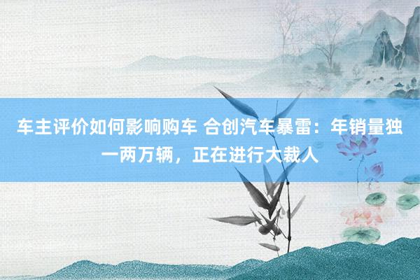 车主评价如何影响购车 合创汽车暴雷：年销量独一两万辆，正在进行大裁人