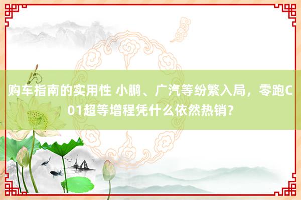 购车指南的实用性 小鹏、广汽等纷繁入局，零跑C01超等增程凭什么依然热销？