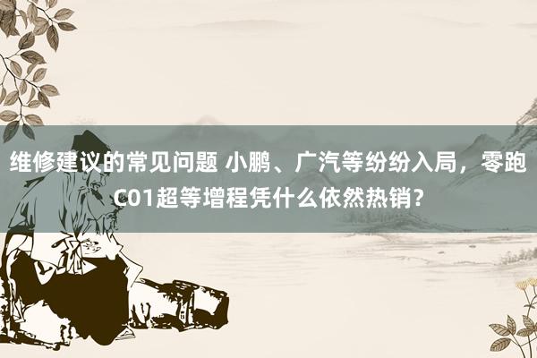 维修建议的常见问题 小鹏、广汽等纷纷入局，零跑C01超等增程凭什么依然热销？