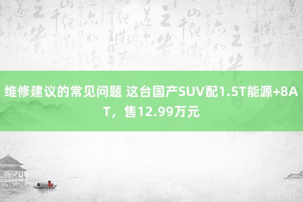 维修建议的常见问题 这台国产SUV配1.5T能源+8AT，售12.99万元