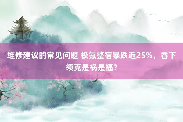 维修建议的常见问题 极氪整宿暴跌近25%，吞下领克是祸是福？