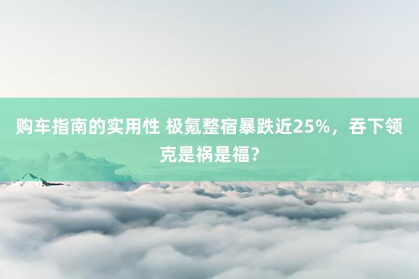 购车指南的实用性 极氪整宿暴跌近25%，吞下领克是祸是福？