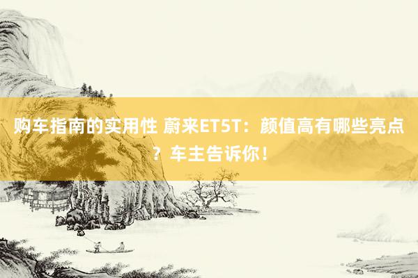 购车指南的实用性 蔚来ET5T：颜值高有哪些亮点？车主告诉你！