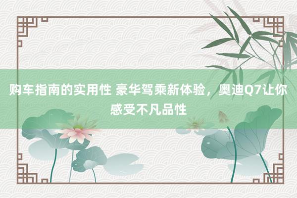 购车指南的实用性 豪华驾乘新体验，奥迪Q7让你感受不凡品性