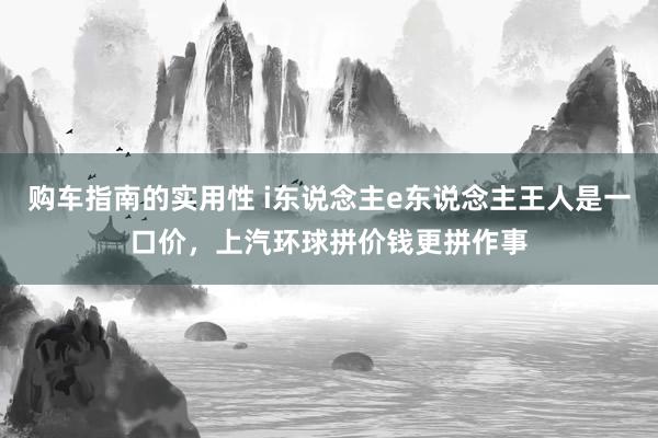 购车指南的实用性 i东说念主e东说念主王人是一口价，上汽环球拼价钱更拼作事