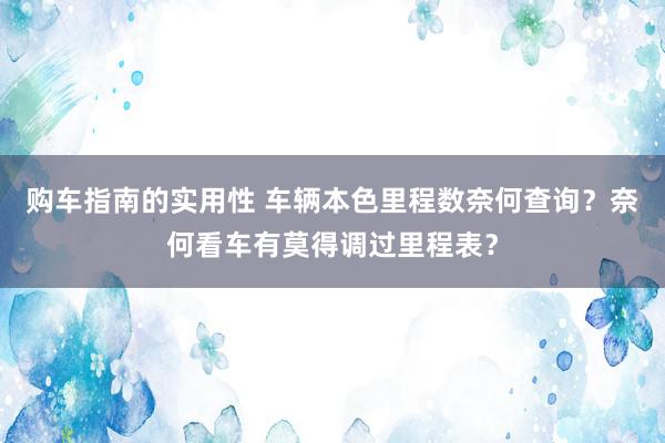 购车指南的实用性 车辆本色里程数奈何查询？奈何看车有莫得调过里程表？