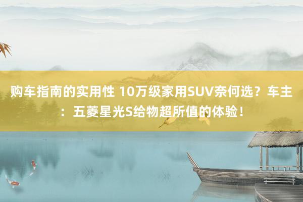 购车指南的实用性 10万级家用SUV奈何选？车主：五菱星光S给物超所值的体验！