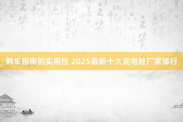 购车指南的实用性 2025最新十大充电桩厂家排行