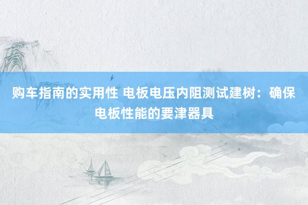 购车指南的实用性 电板电压内阻测试建树：确保电板性能的要津器具