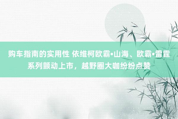 购车指南的实用性 依维柯欧霸•山海、欧霸•雷霆系列颤动上市，越野圈大咖纷纷点赞