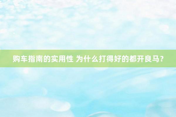 购车指南的实用性 为什么打得好的都开良马？