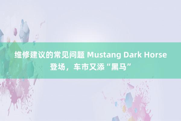 维修建议的常见问题 Mustang Dark Horse登场，车市又添“黑马”