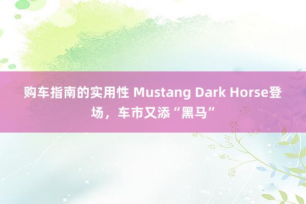 购车指南的实用性 Mustang Dark Horse登场，车市又添“黑马”