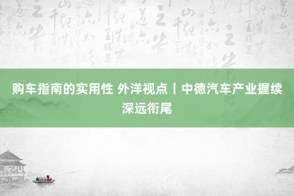 购车指南的实用性 外洋视点丨中德汽车产业握续深远衔尾