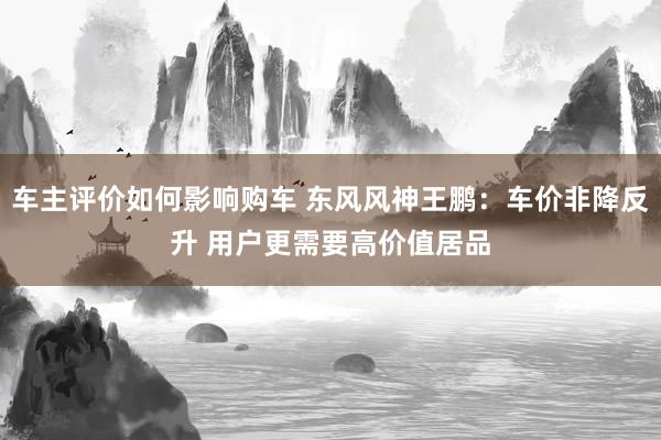 车主评价如何影响购车 东风风神王鹏：车价非降反升 用户更需要高价值居品