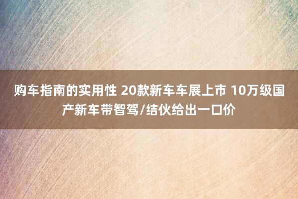 购车指南的实用性 20款新车车展上市 10万级国产新车带智驾/结伙给出一口价