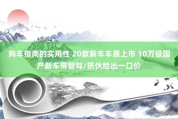 购车指南的实用性 20款新车车展上市 10万级国产新车带智驾/搭伙给出一口价