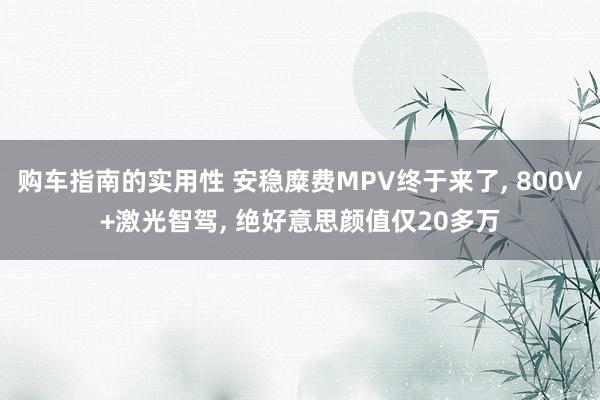 购车指南的实用性 安稳糜费MPV终于来了, 800V+激光智驾, 绝好意思颜值仅20多万