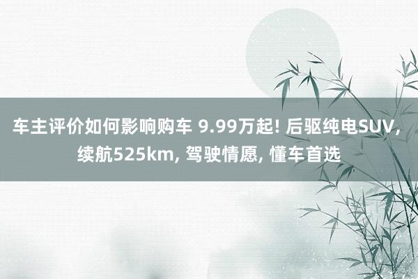 车主评价如何影响购车 9.99万起! 后驱纯电SUV, 续航525km, 驾驶情愿, 懂车首选