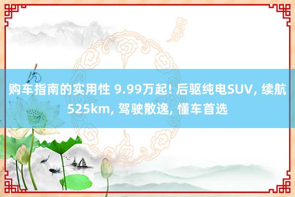 购车指南的实用性 9.99万起! 后驱纯电SUV, 续航525km, 驾驶散逸, 懂车首选